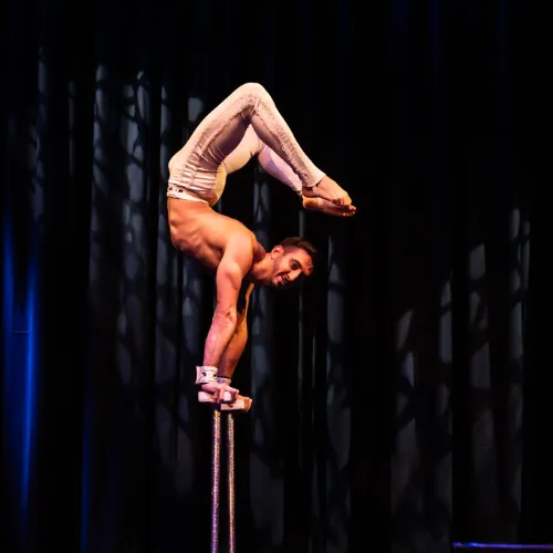 Professional Dancer and Choreographer Rodrigo Tavella professional dancer